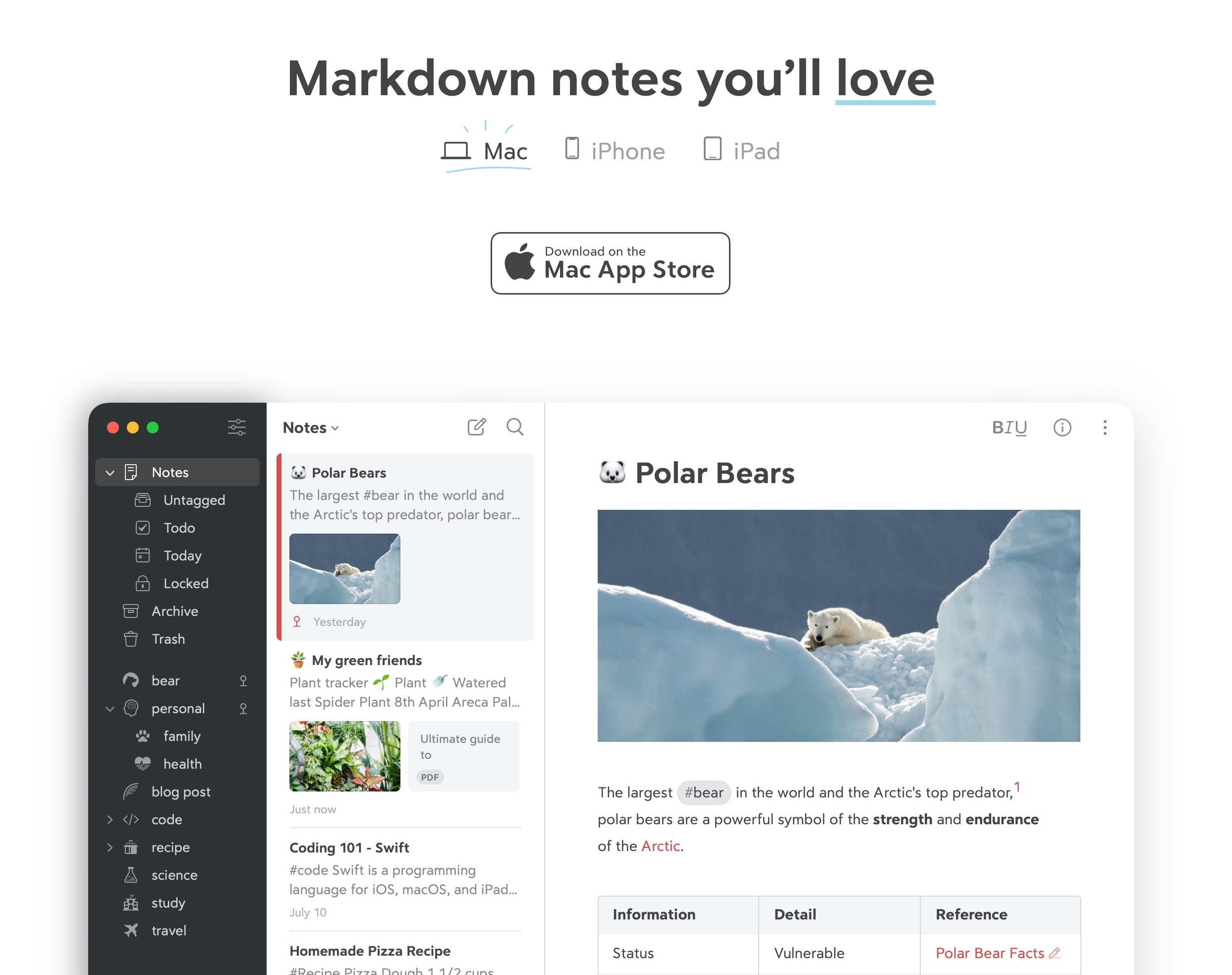Bear screenshot