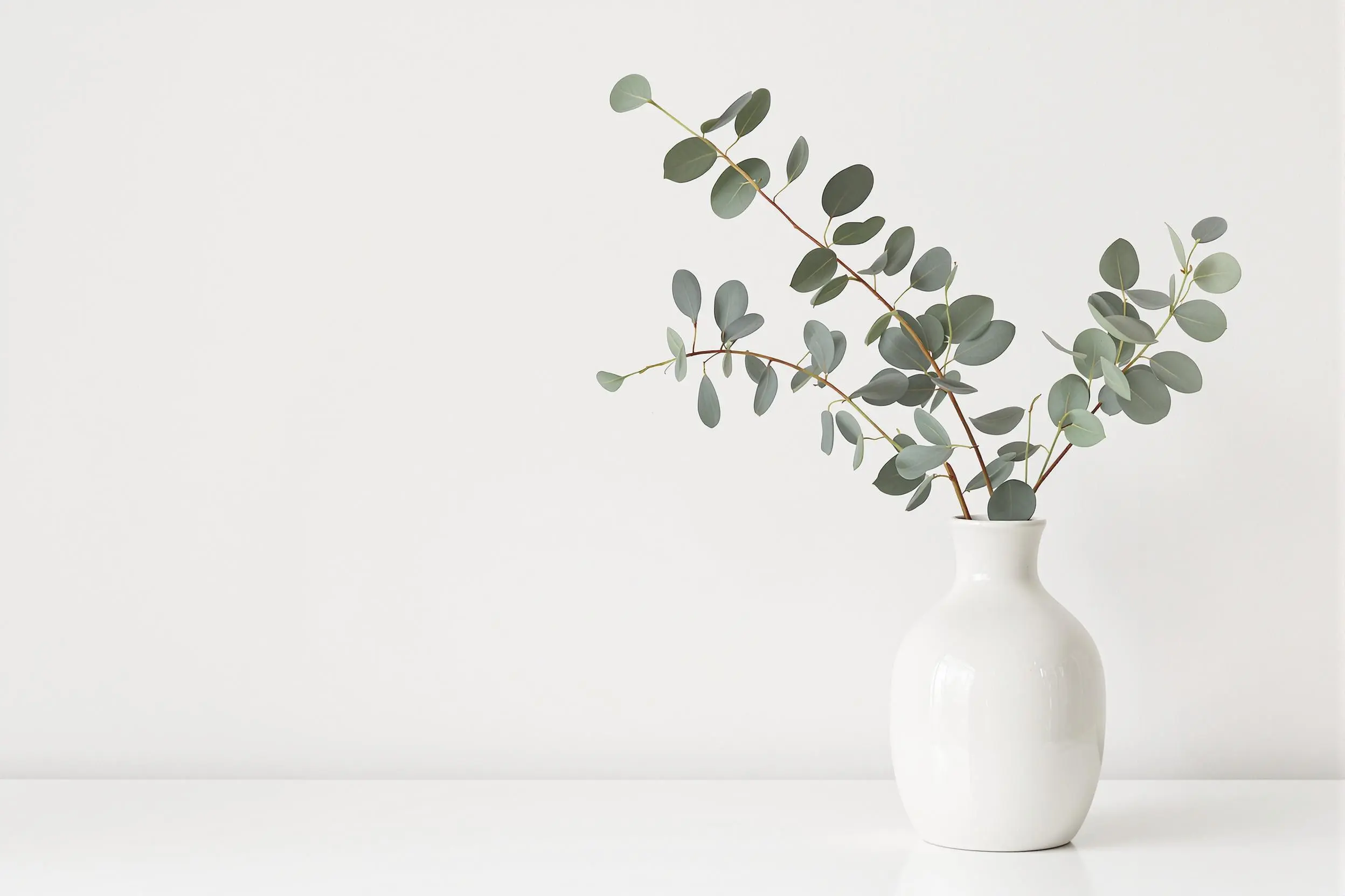 Header screenshot
